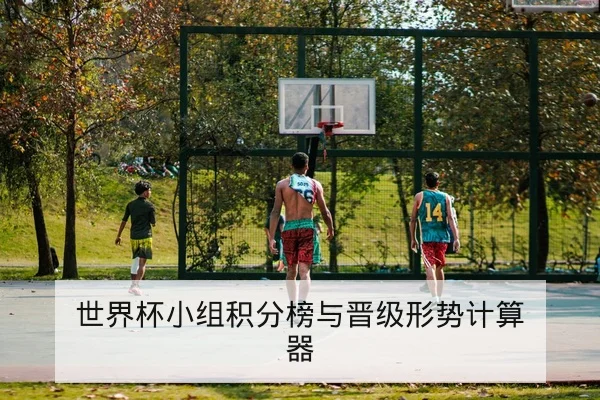 世界杯小组积分榜与晋级形势计算器