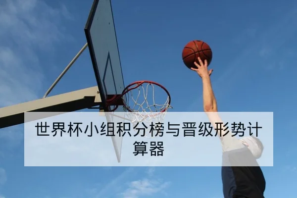 世界杯小组积分榜与晋级形势计算器