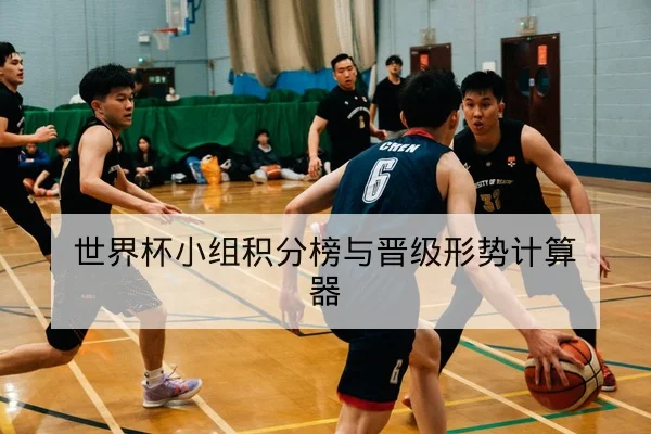 世界杯小组积分榜与晋级形势计算器